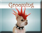 Henderson Pet Grooming