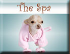 Pet Salon and Spa